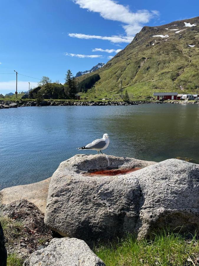 Brustranda Fjordcamping Valberg Bagian luar foto